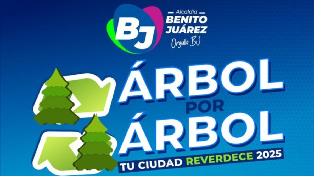 La campaña “Árbol por Árbol tu Ciudad Reverdece 2025” busca reciclar árboles de navidad.