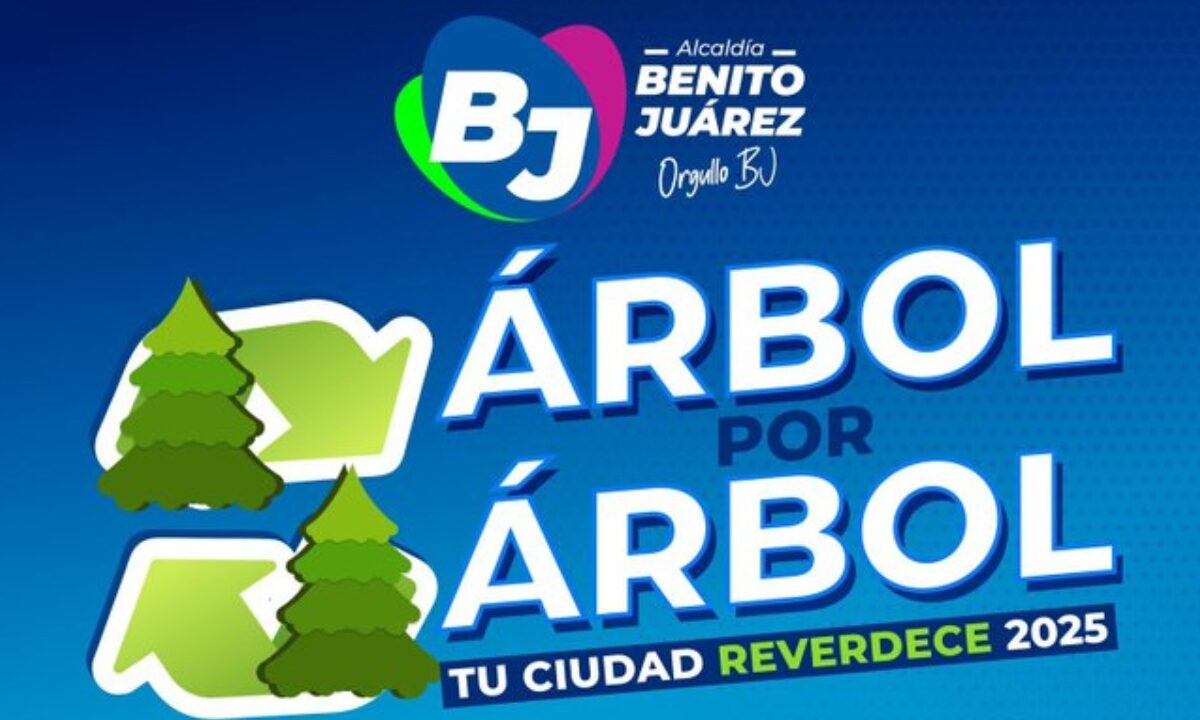 La campaña “Árbol por Árbol tu Ciudad Reverdece 2025” busca reciclar árboles de navidad.