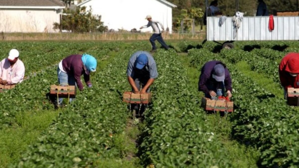 Francisco Cervantes, indica que 70 las empresas daran empleo a deportados