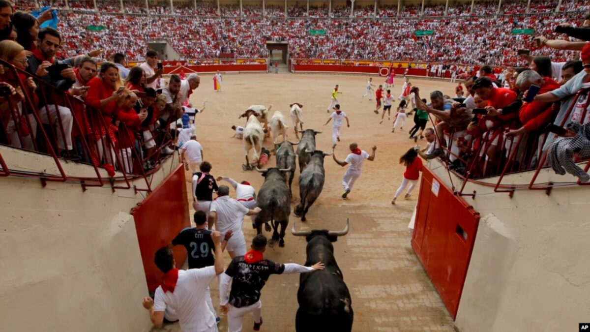 Corridas de toros y novilladas