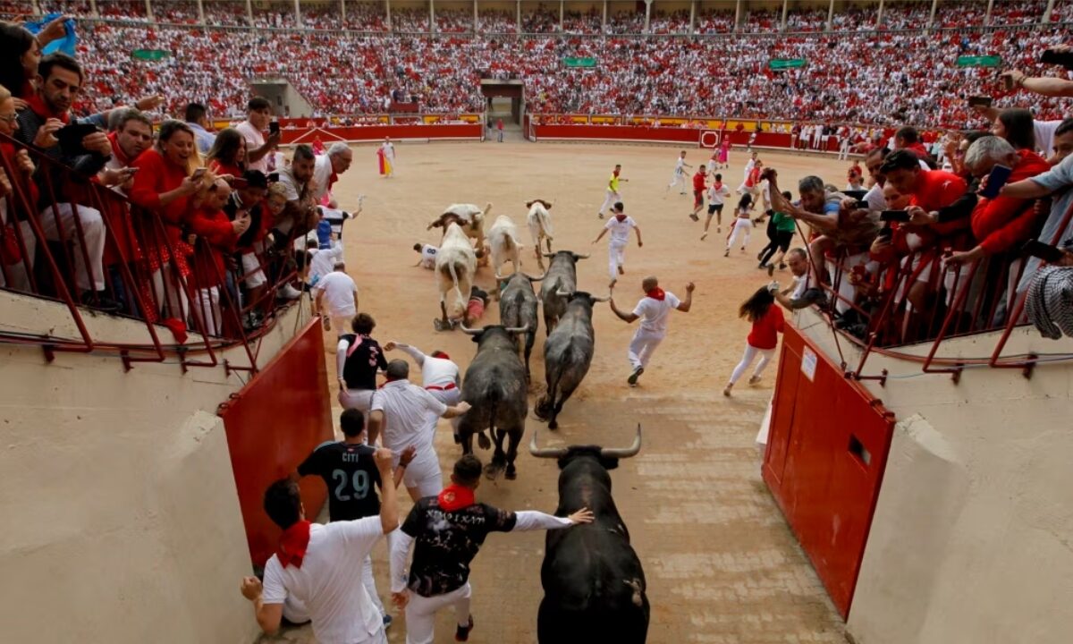 Corridas de toros y novilladas