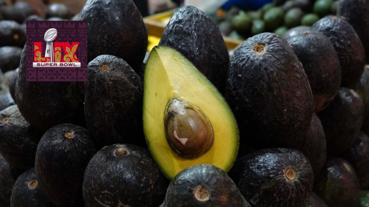 México prevé el envío de 110 mil toneladas de aguacate para el disfrute de las familias y negocios de Estados Unidos por el Super Bowl.