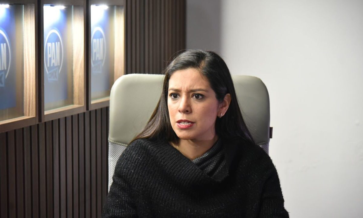 Presidenta del PAN CDMX, lanzó un exhorto a la Secretaría de Trabajo y Fomento al Empleo capitalina, a reforzar el Seguro de Desempleo.