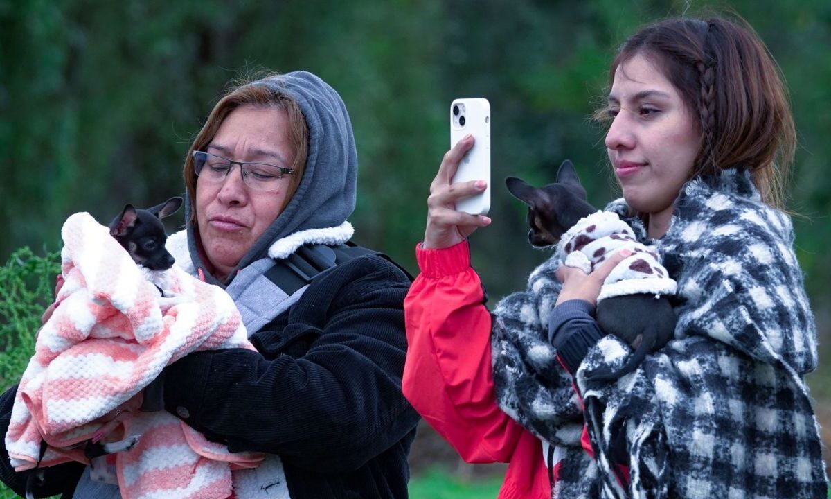 La SGIRPC activó la alerta amarilla por bajas temperaturas en tres alcaldías al sur de la Ciudad de México para el amanecer del domingo.