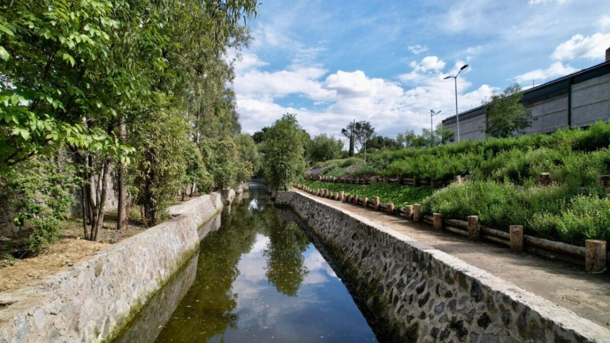 La Sedema CDMX dio a conocer la publicación del Programa de Manejo del Canal Nacional, una importante área de valor ambiental de la capital.