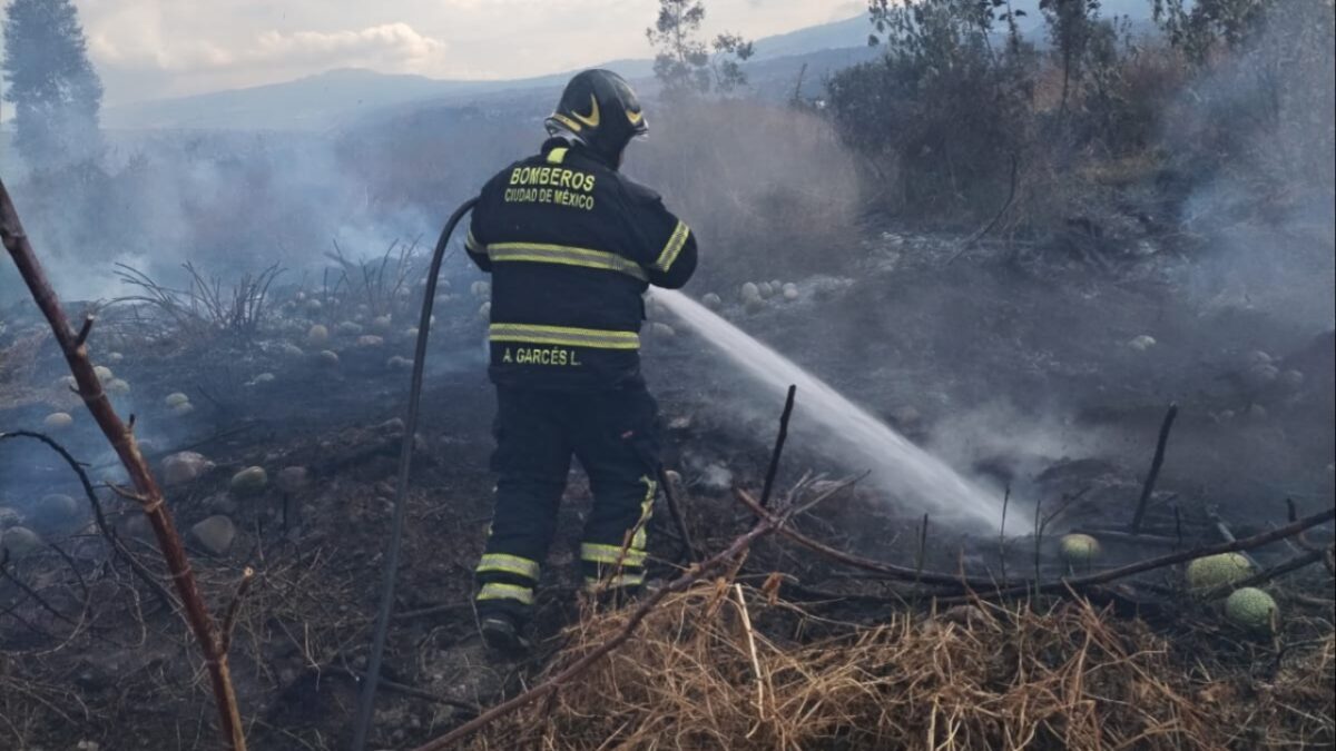 Bomberos combaten incendio en pastizal en Tláhuac