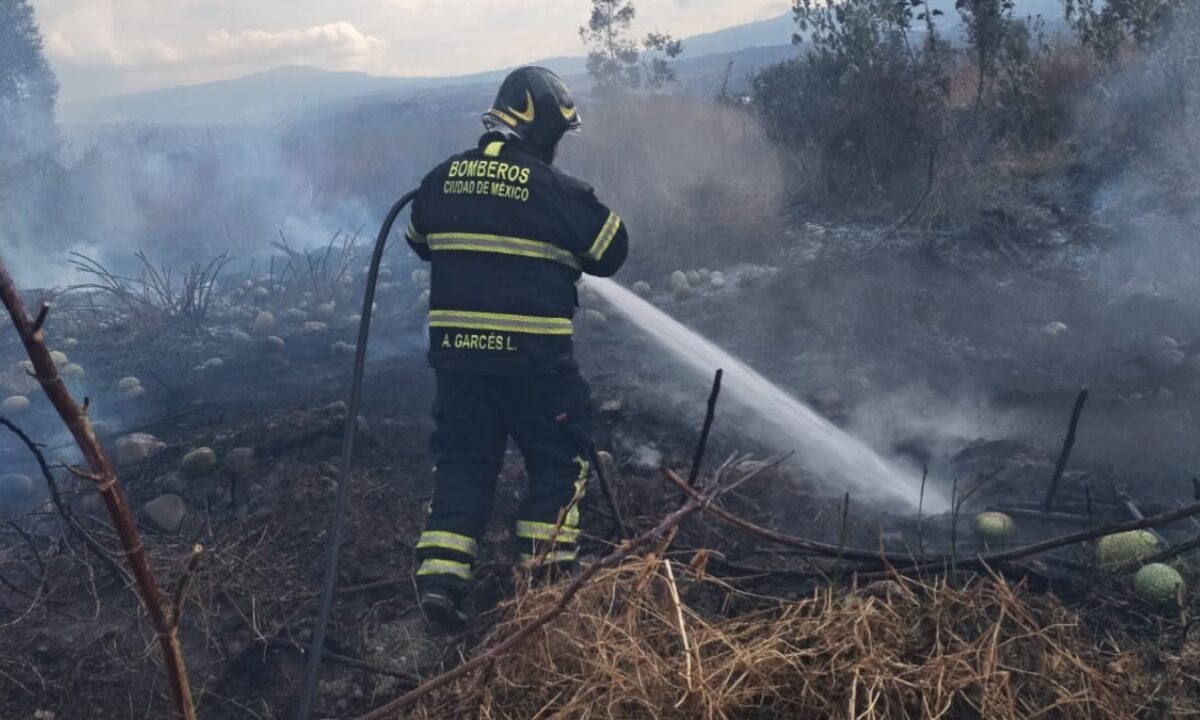 Bomberos combaten incendio en pastizal en Tláhuac