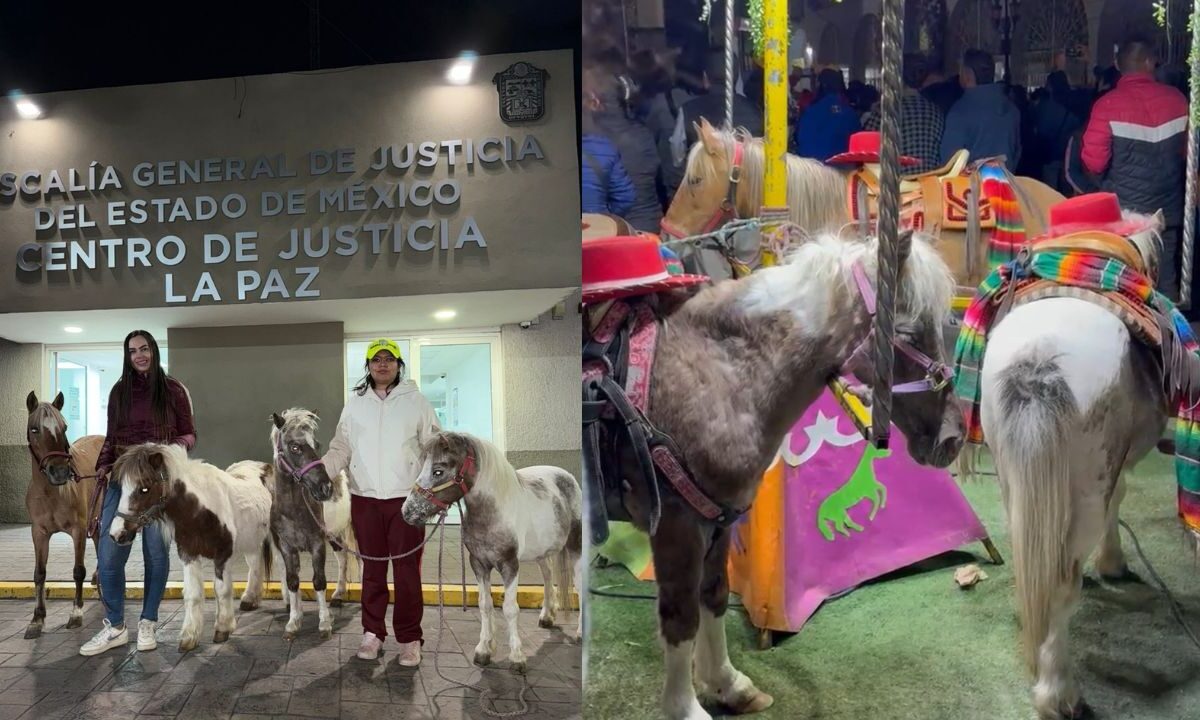 Seres Libres rescata a 4 ponis de carrusel en feria del Estado de México