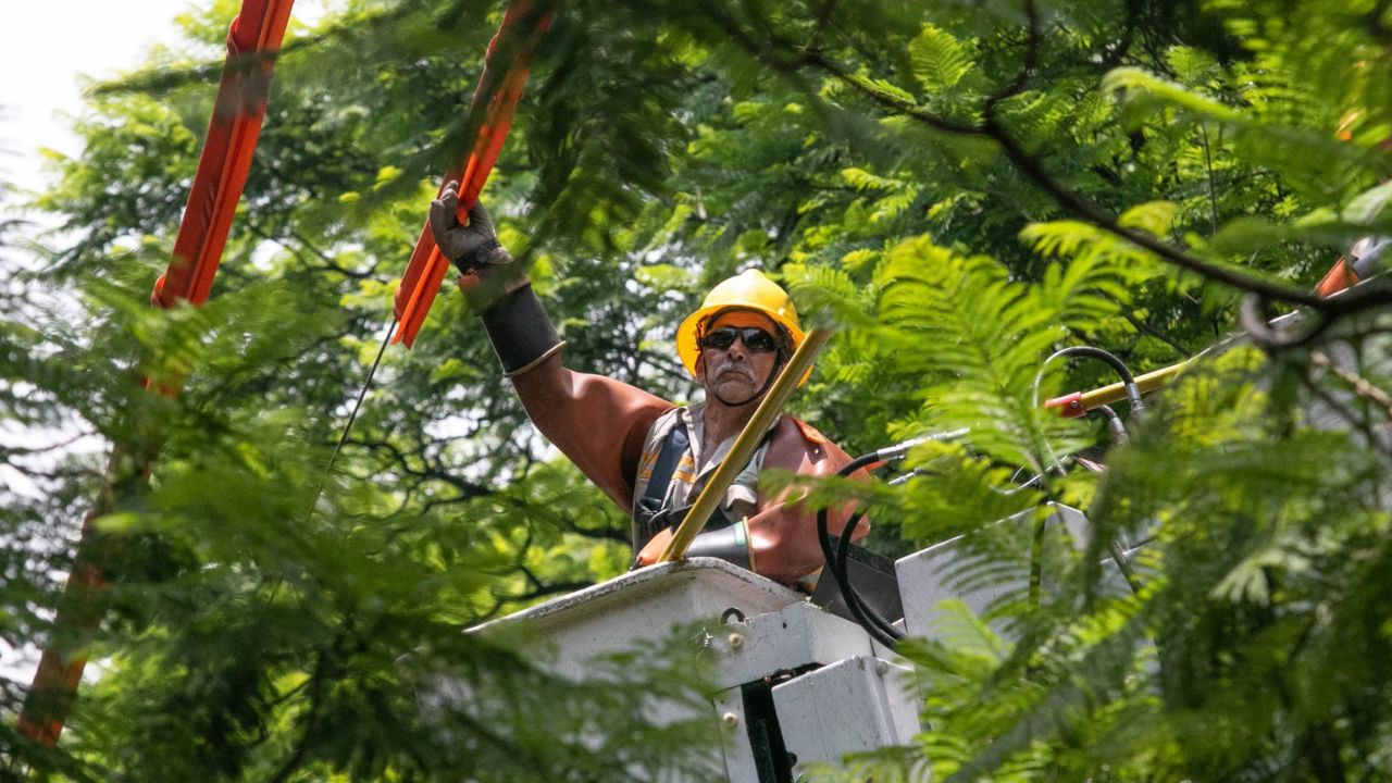 Personal de la CFE restableció el servicio de luz a pobladores de Hércules.