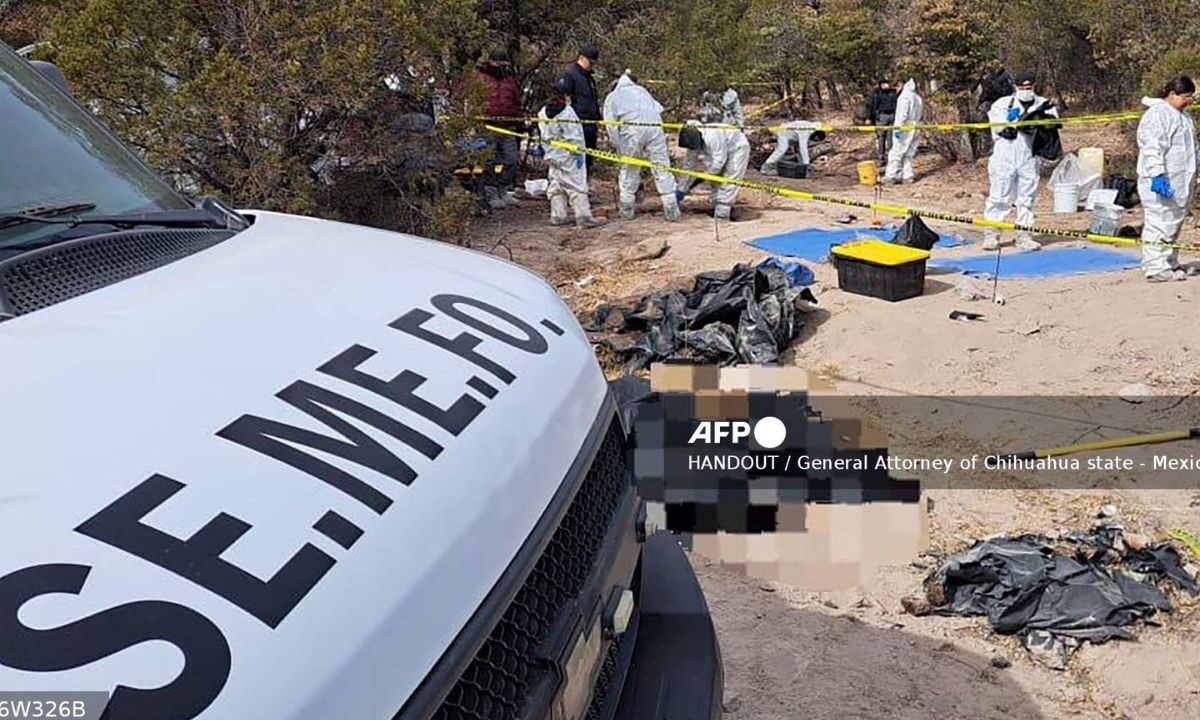 Autoridades informaron sobre el hallazgo de 16 nuevos cuerpos en fosas clandestinas en Chihuahua con lo que la cifra total sube a 72.