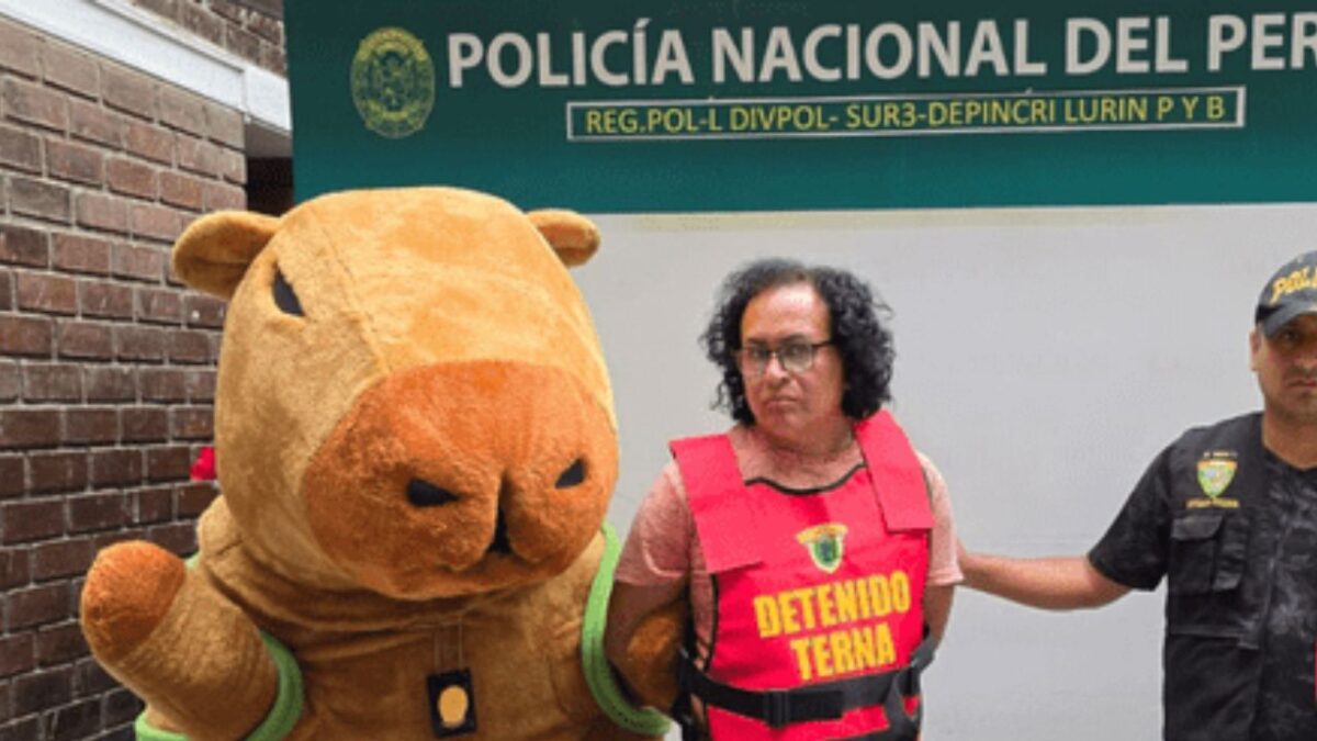 Capibara detiene al "El Machín"