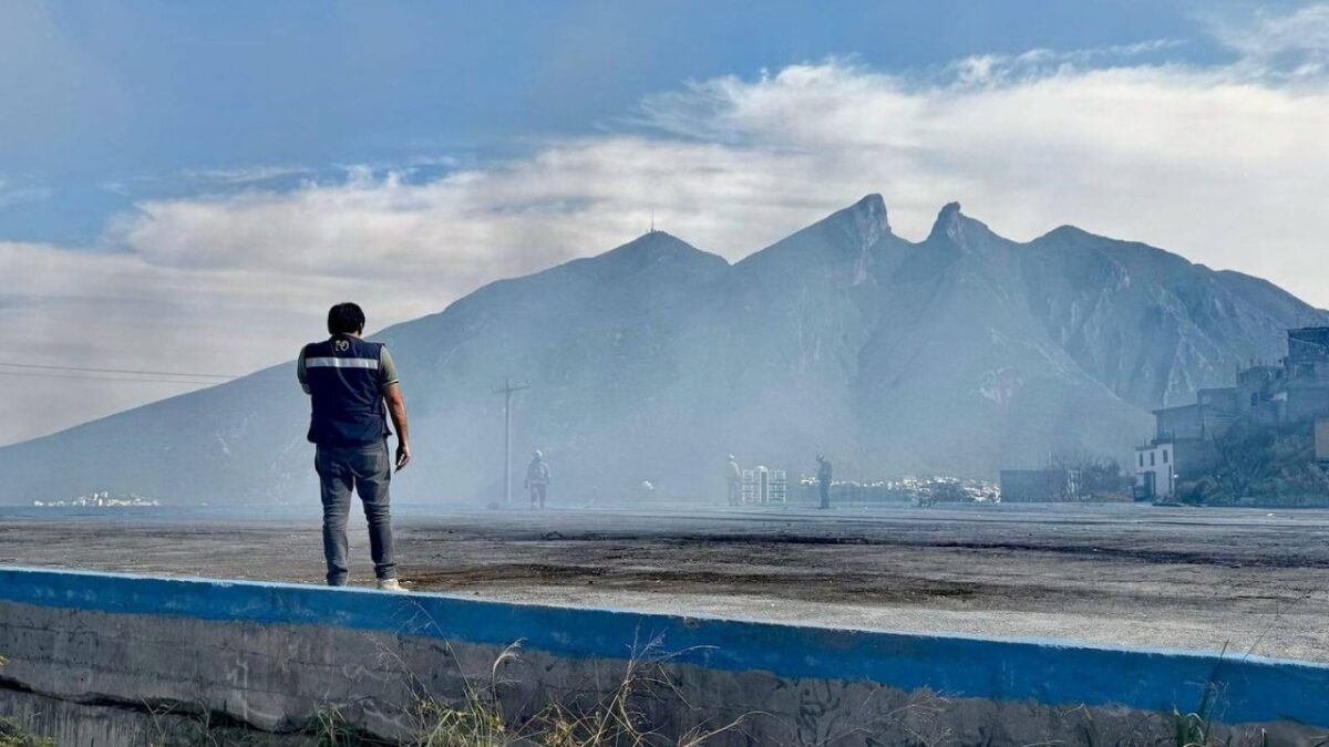 Principalmente puede generar un incendio forestal: actividades humanas en los bosques, altas temperaturas, fenómenos meteorológicos o fuertes vientos. 