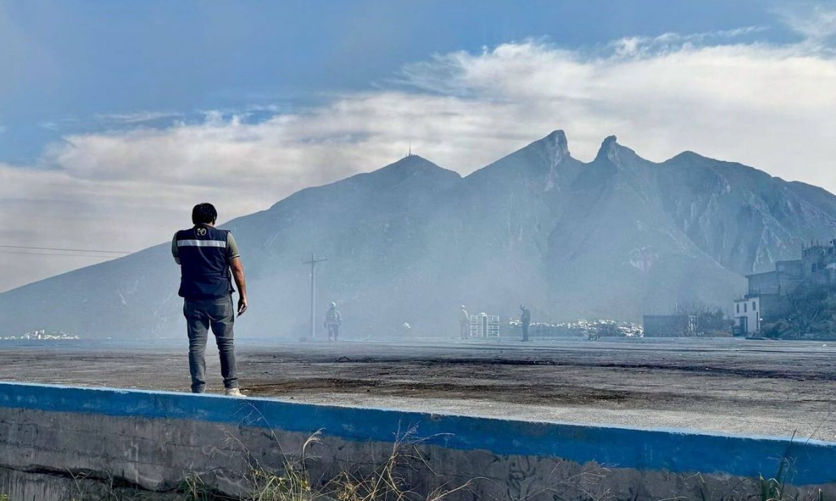 Principalmente puede generar un incendio forestal: actividades humanas en los bosques, altas temperaturas, fenómenos meteorológicos o fuertes vientos. 