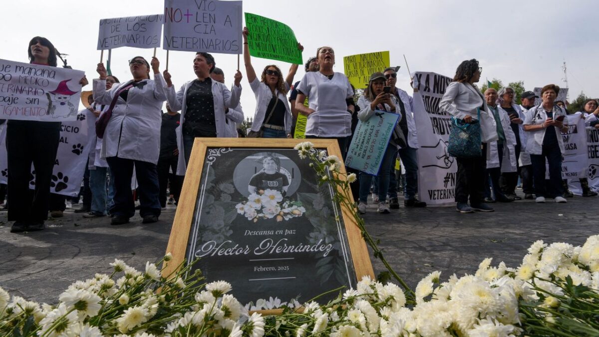 En diversas ciudades del país, se replicaron las manifestaciones donde pidieron garantias para el libre ejercicio de su profesión.