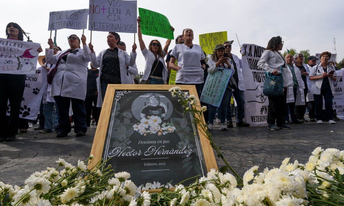 En diversas ciudades del país, se replicaron las manifestaciones donde pidieron garantias para el libre ejercicio de su profesión.