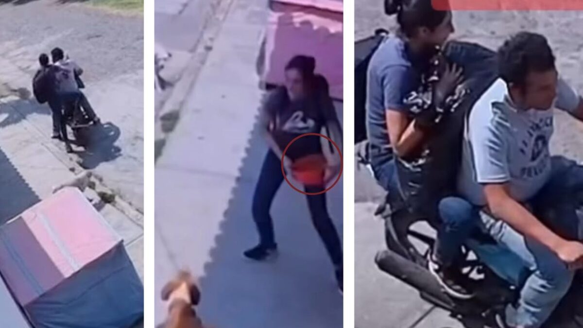 Pareja roba croquetas; deja a perritos de la calle sin comida