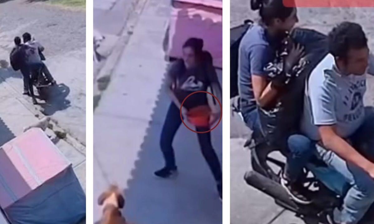 Pareja roba croquetas; deja a perritos de la calle sin comida