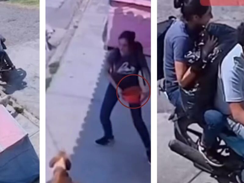 VIDEO: Pareja roba alimento de perros callejeros 