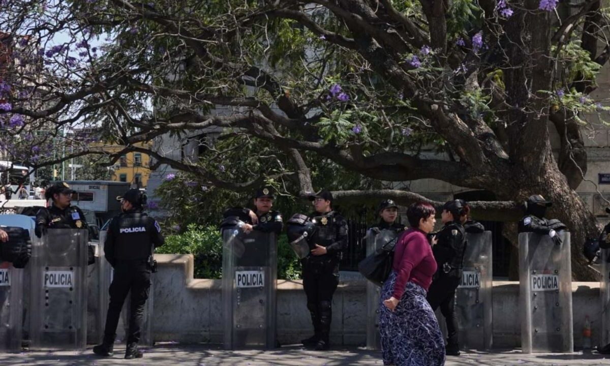 Tras agresión a Donají, que Fiscalías investiguen crímenes de odio: Senadora