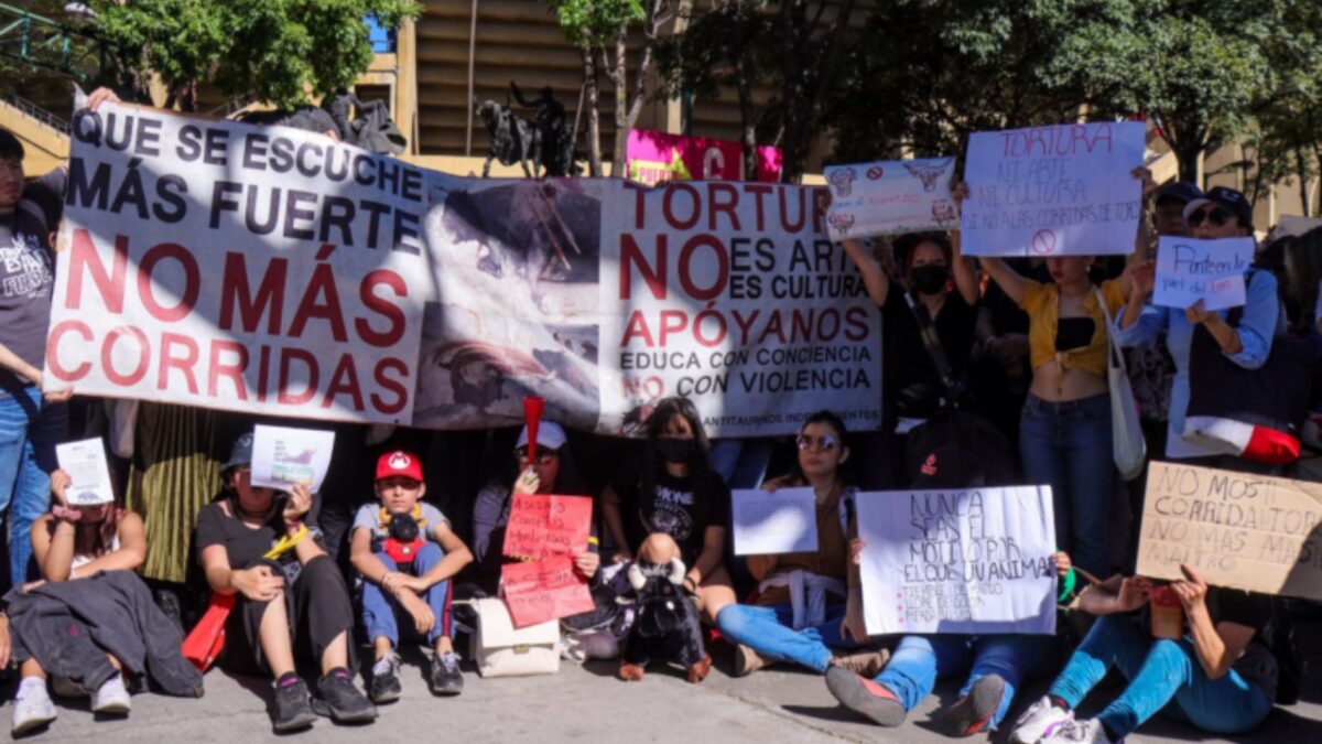 Se inicia parlamento en relación a la prohibición de corridas de toros