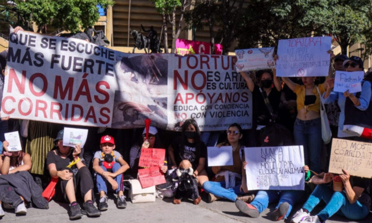 Se inicia parlamento en relación a la prohibición de corridas de toros