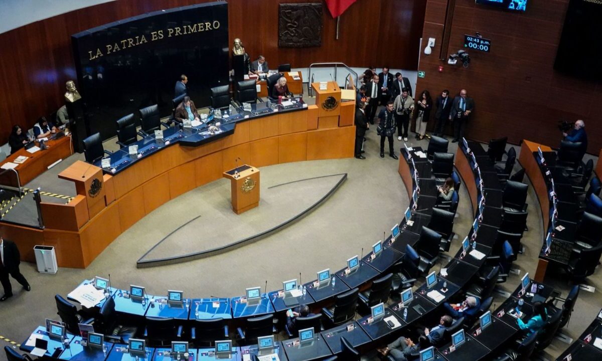 Avanza en el Senado de la República la reforma que fortalece la soberanía.