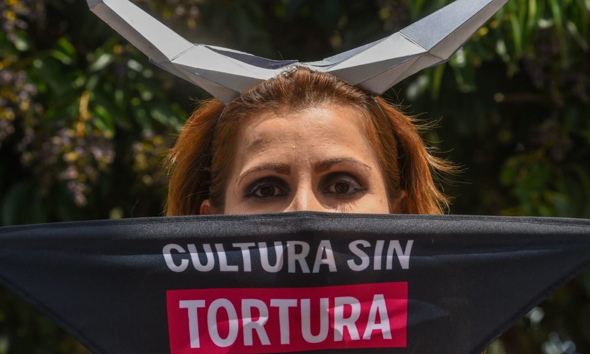 Cultura sin tortura estará a las 9:00 horas en el Ángel de la Independencia.