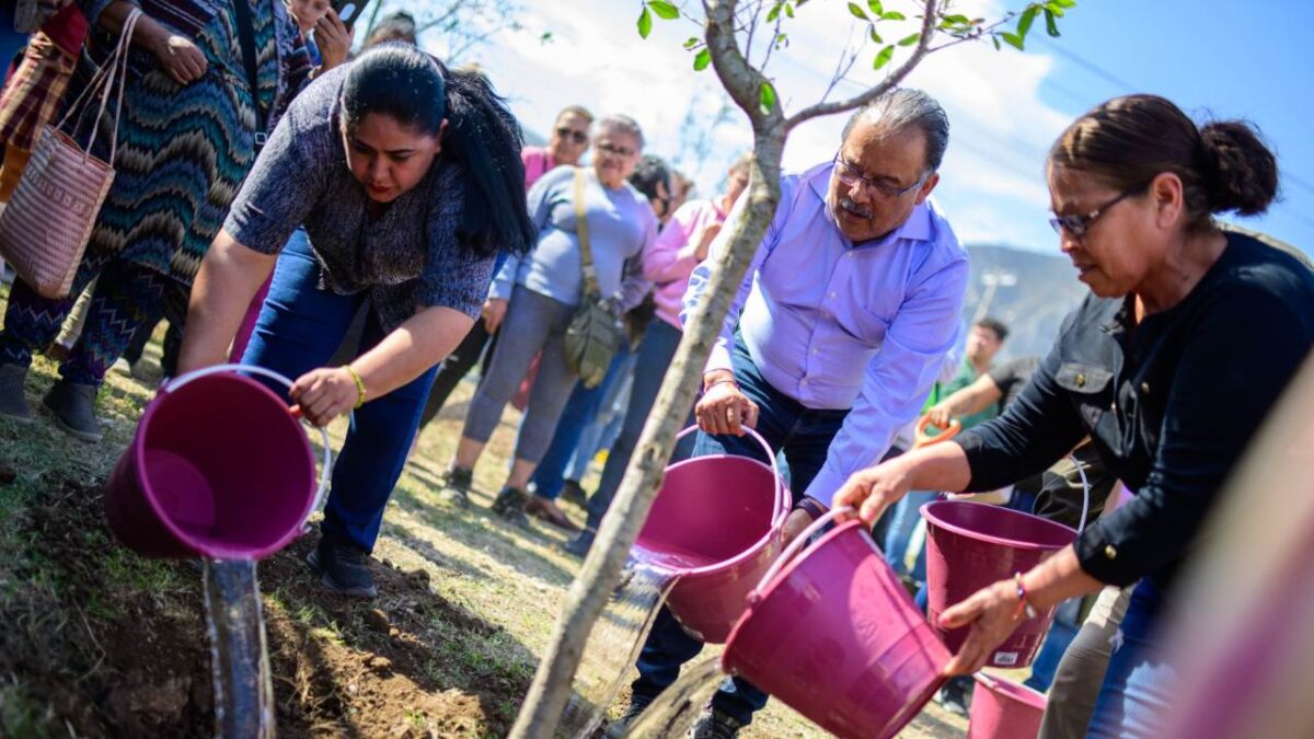 El Alcalde Andrés Mijes junto a vecinos comenzaron la siembra de los árboles que tapizarán todo el camellón de Avenida Las Torres.