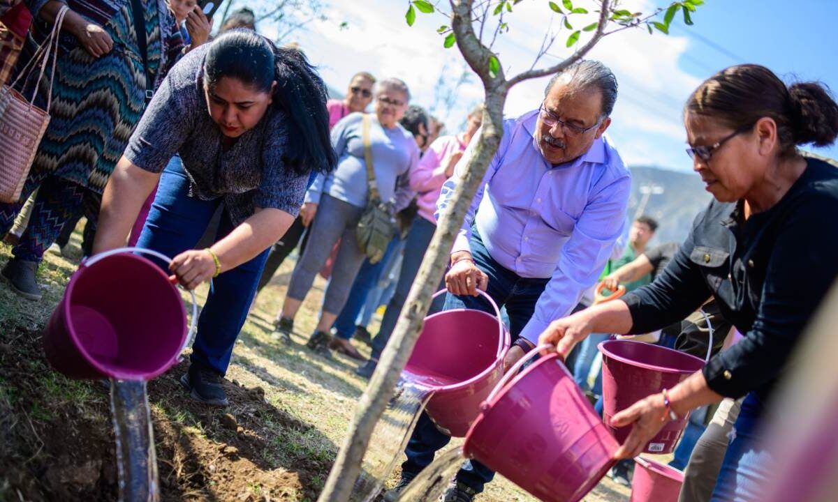 El Alcalde Andrés Mijes junto a vecinos comenzaron la siembra de los árboles que tapizarán todo el camellón de Avenida Las Torres.