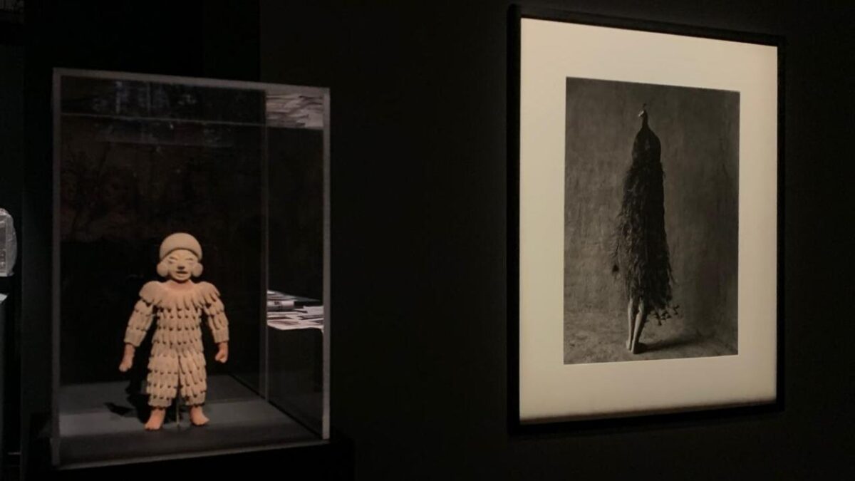 La muestra "Aves de México" estará abierta hasta el 27 de julio de este año en el Museo Yves Saint Laurent de Marrakech.