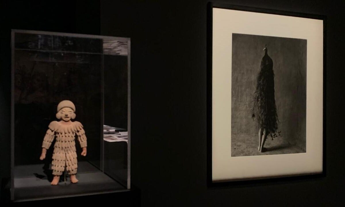 La muestra "Aves de México" estará abierta hasta el 27 de julio de este año en el Museo Yves Saint Laurent de Marrakech.