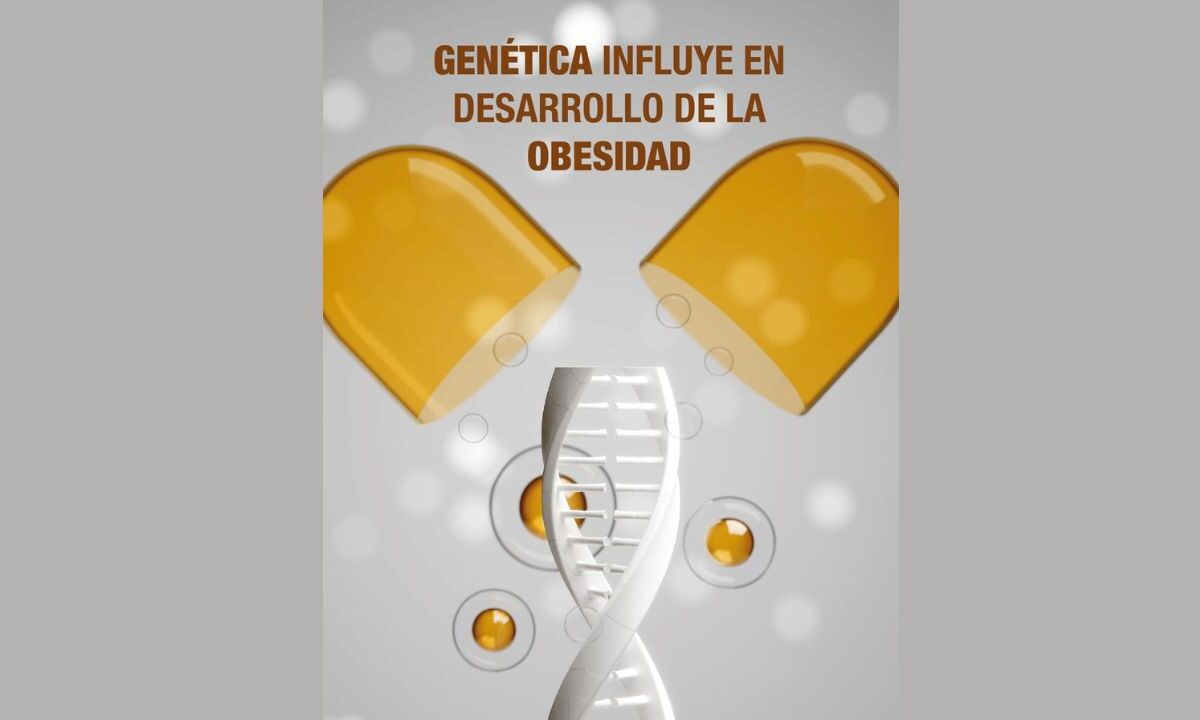 La ciencia ha demostrado que la predisposición genética tiene un papel crucial en el desarrollo del sobrepeso y la obesidad.