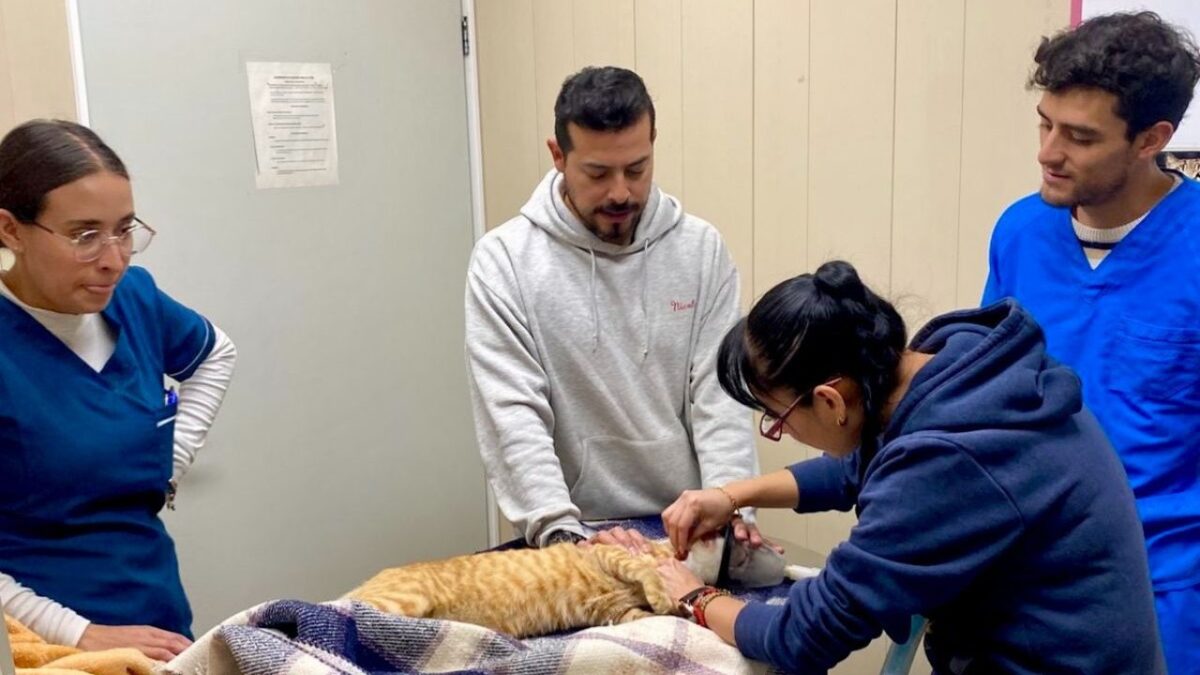 Hospital Veterinario de la CDMX cumple nueve años