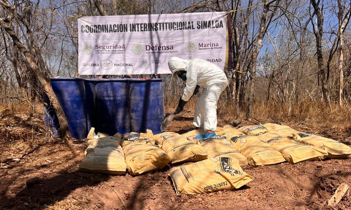 Desmantelas laboratorio clandestino de 3 mil metros cuadrados