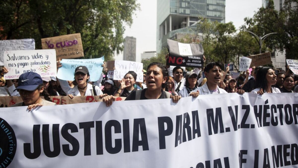 Una comitiva de veterinarios marchó hasta el Senado para exigir sanciones para los agresores, donde fueron recibidos por Rubén Cayetano.