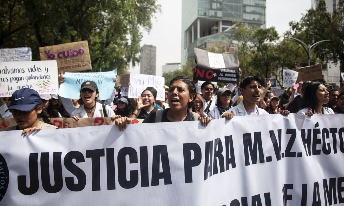 Una comitiva de veterinarios marchó hasta el Senado para exigir sanciones para los agresores, donde fueron recibidos por Rubén Cayetano.