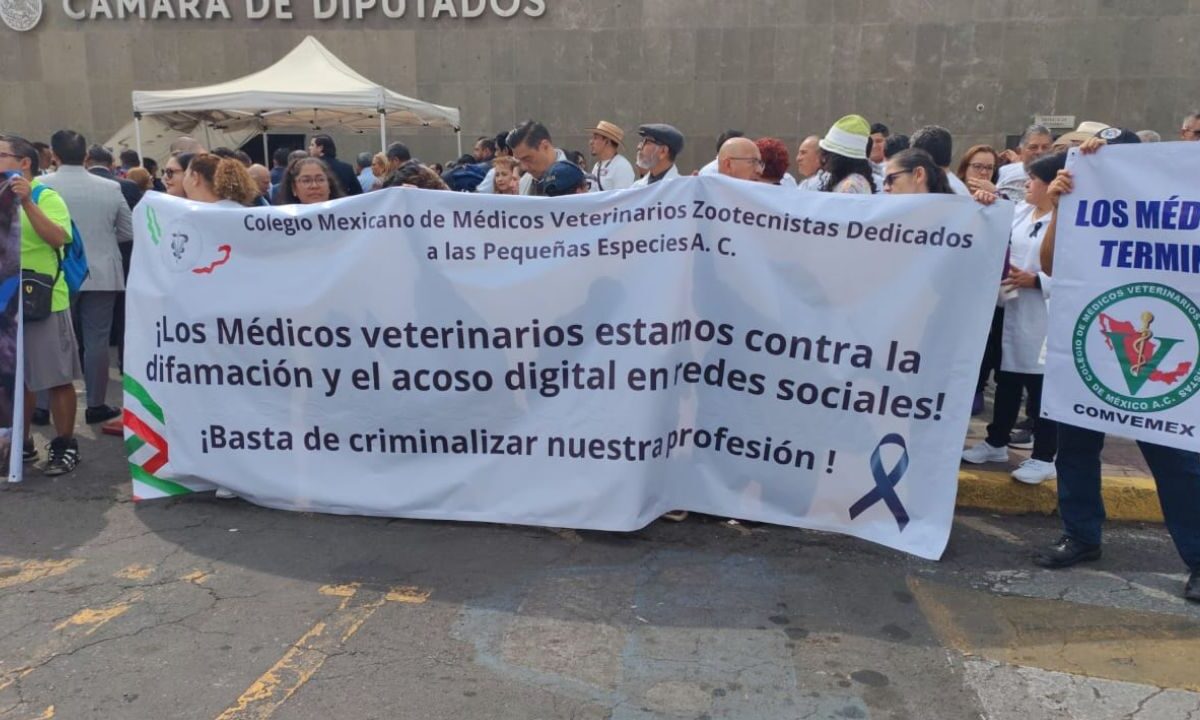 Médicos veterinarios se manifestaron en la Cámara de Diputados ante el presunto asesinato de uno de sus compañeros el 9 de febrero.