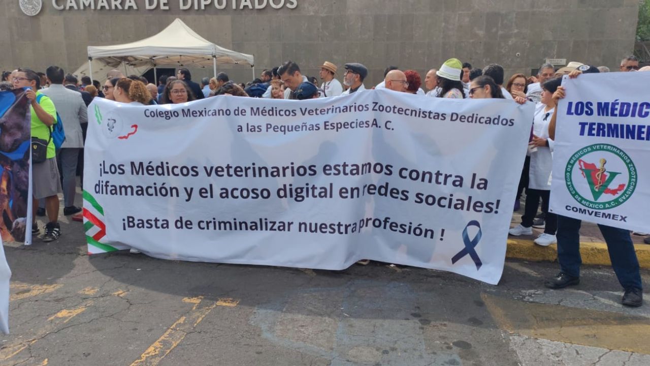 Médicos veterinarios se manifestaron en la Cámara de Diputados ante el presunto asesinato de uno de sus compañeros el 9 de febrero.