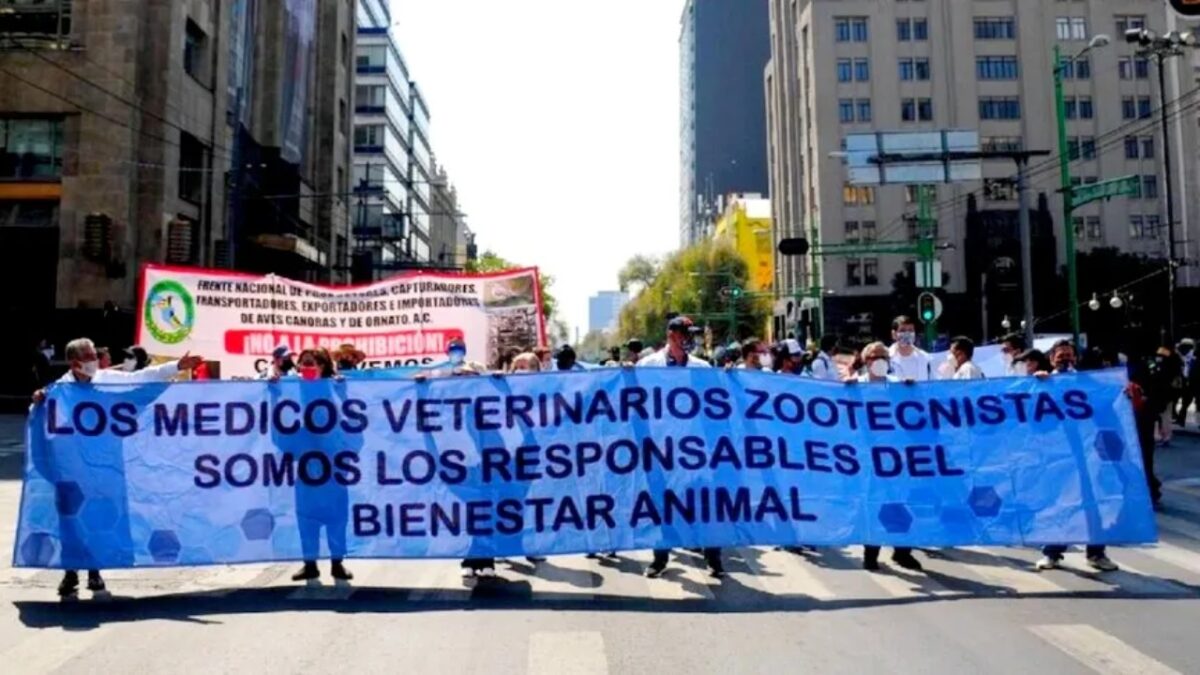 Un día sin veterinarios, justicia para Héctor