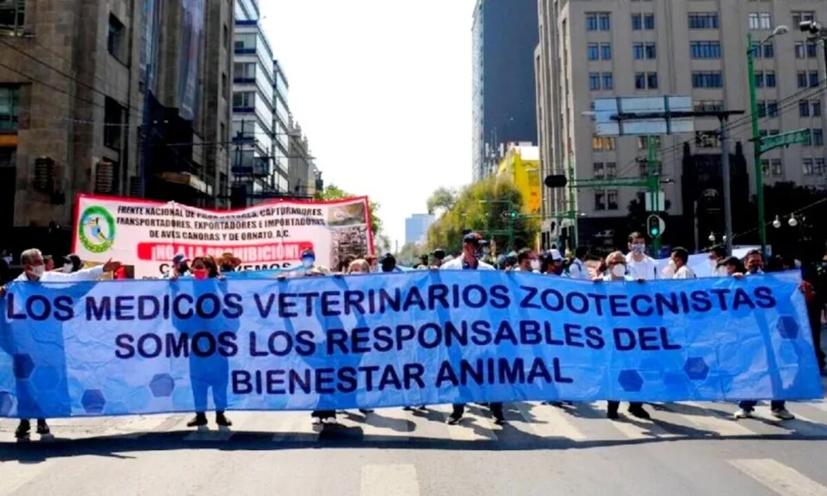 Un día sin veterinarios, justicia para Héctor