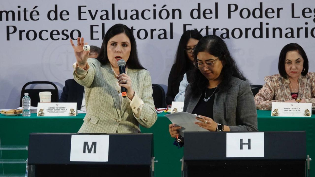 Durante la segunda jornada de insaculación del Comité de Evaluación del Poder Legislativo, la comisionada Gabriela Sánchez, evidenció al menos, 11 discrepancias.