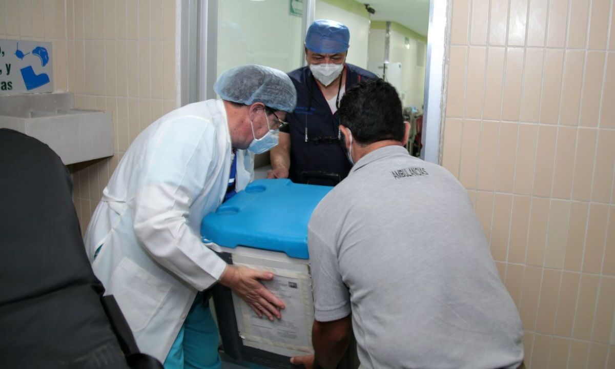 Personal médico trasladando un órgano en el marco del Día Mundial del Transplante de Órganos y Tejidos que promueve la donación de órganos