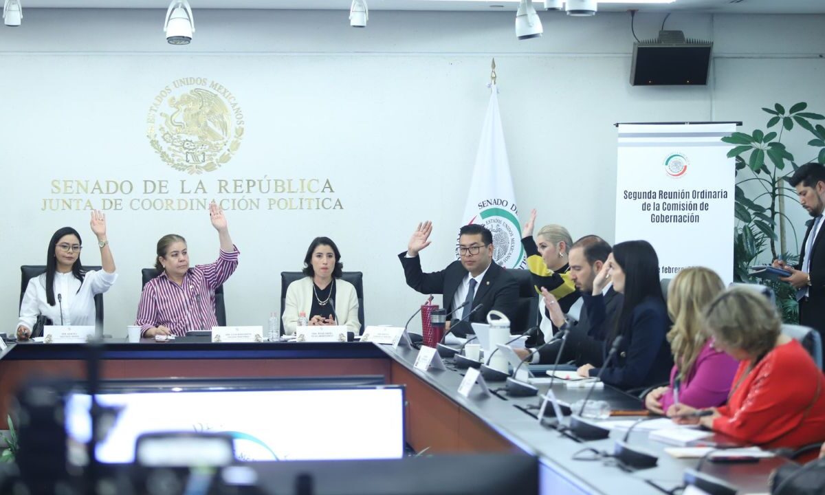 Senado ratifica a Rosa Islas como vicepresidenta del Inegi