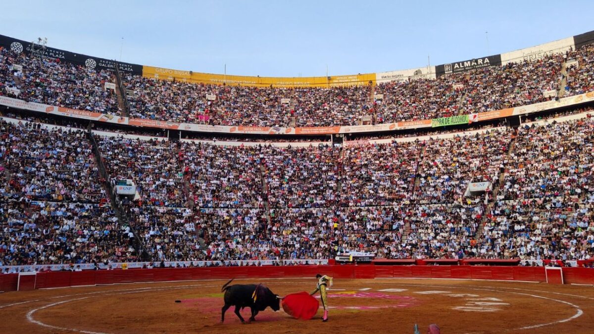 Corridas de toros en la Monumental Plaza de Toros México.