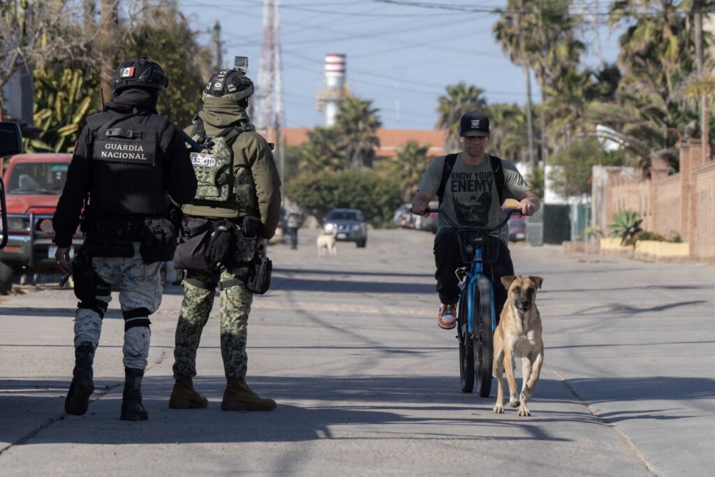 En Sonora, Gobierno asegura 51 artefactos explosivos improvisados. Noticias en tiempo real