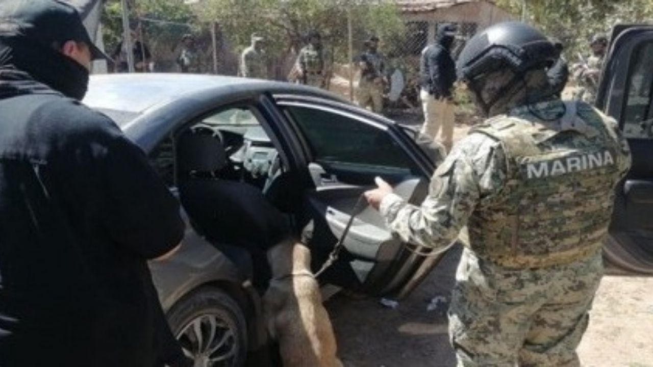 Realizan cateo en el poblado de San José de Bácum, Sonora