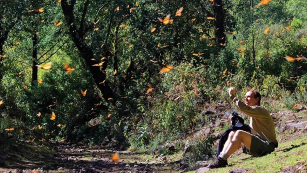 Foto: Especial/ Santuario El Capulín