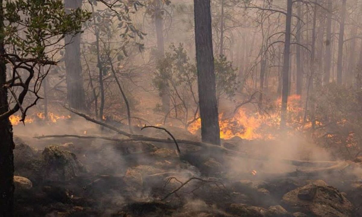 En Chihuahua, son ocho los municipios que siguen en alerta. 