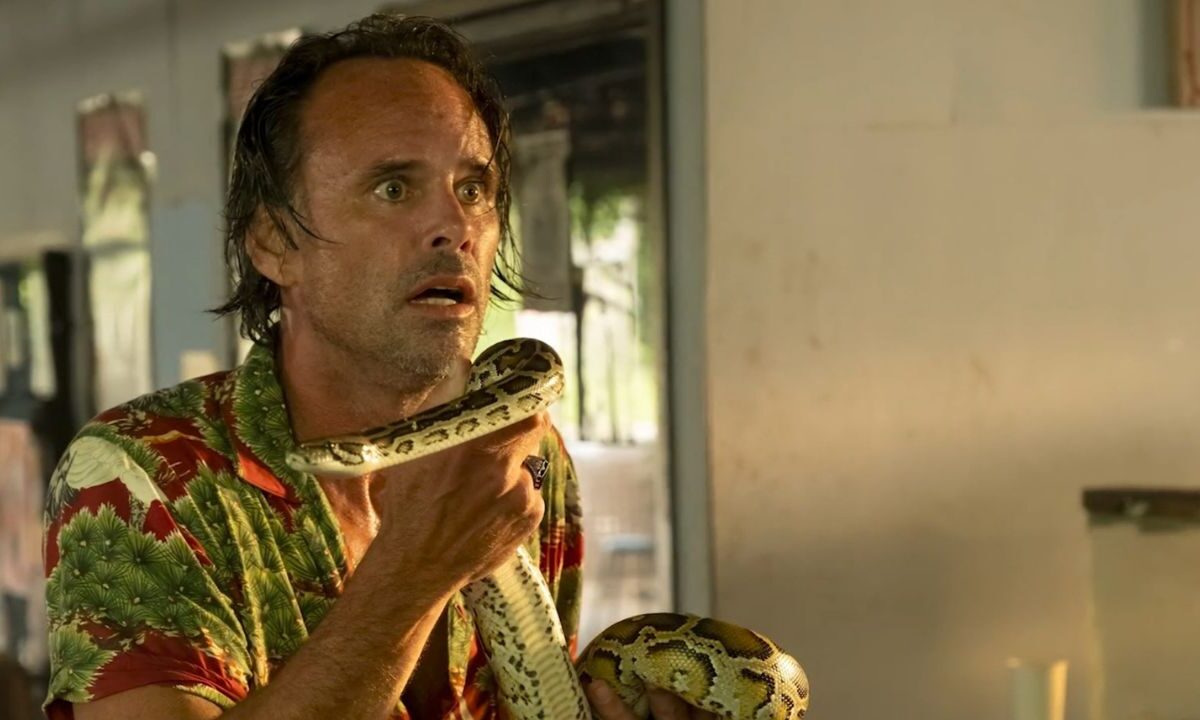 3 temporadas de White Lotus componen a la serie de HBO