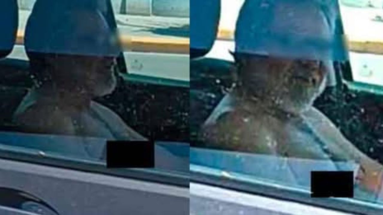 Conductor fue vinculado a proceso por acosar desnudo a una joven que estaba esperando un autobús en León.